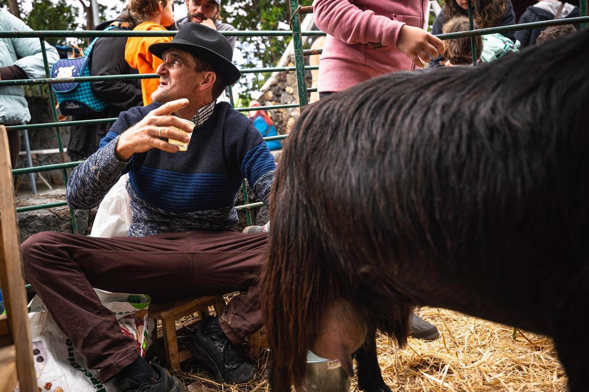 Feria del queso en Pinolere, Tenerife