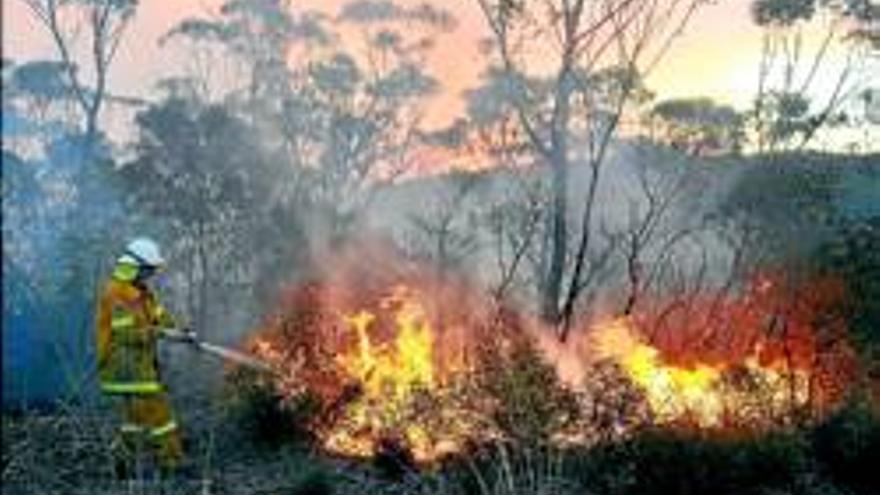 Estado de emergencia en Australia por el fuego