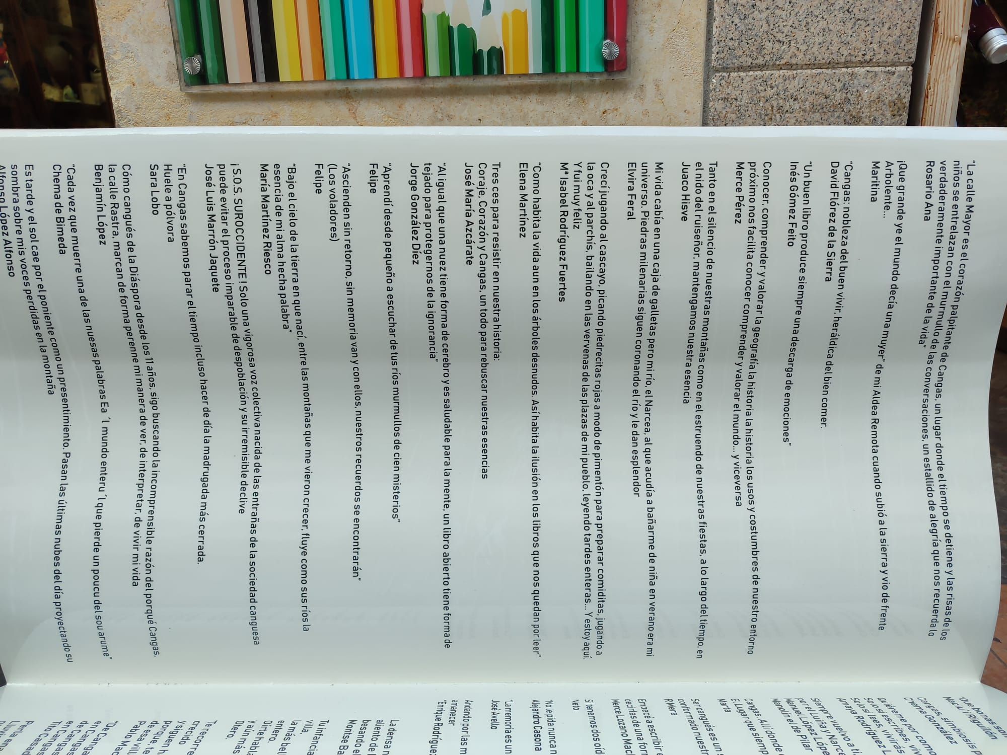 En imágenes: Así fue la fiesta del medio siglo de la librería Treito