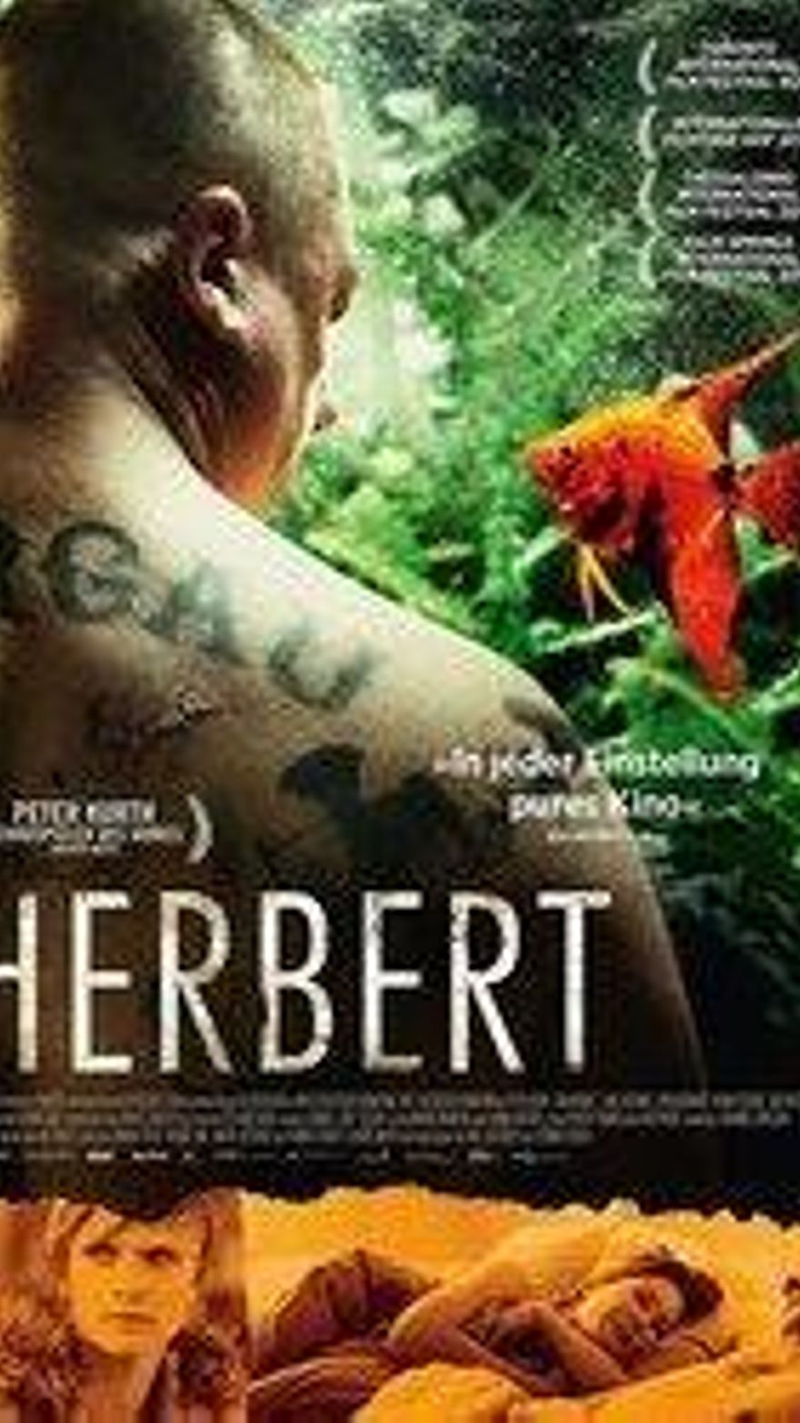 Herbert