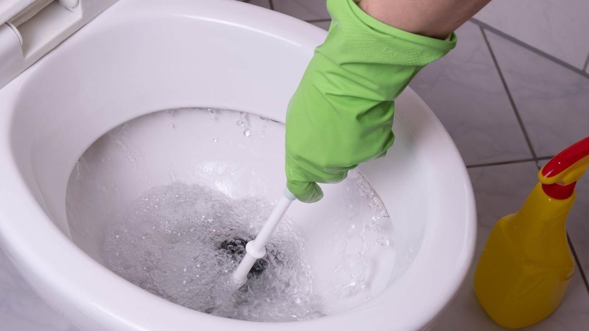 Cómo limpiar el inodoro correctamente sin usar químicos