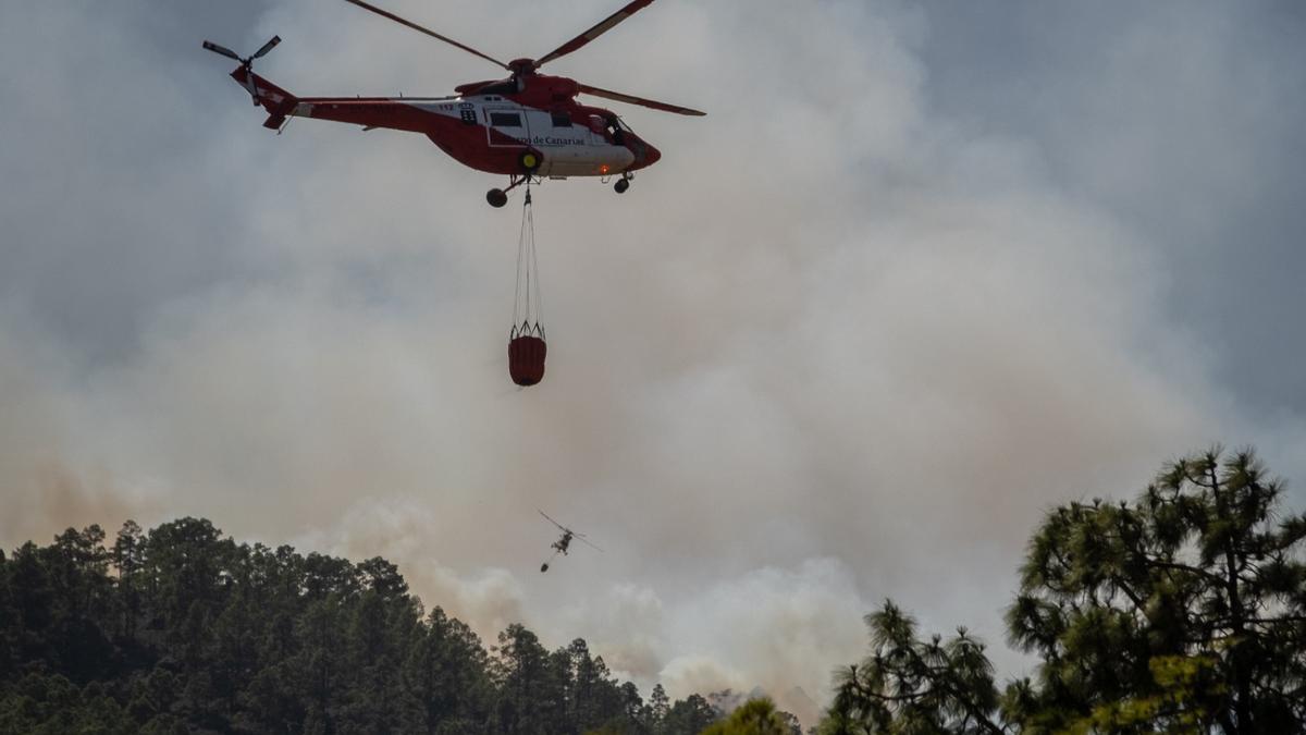 Incendio forestal en Arico