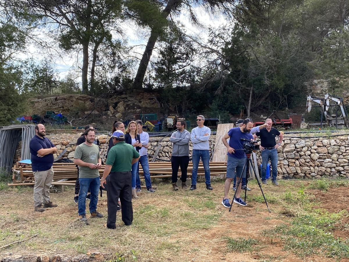 Galería: Así ha sido la presentación de la campaña de la 'patata vermella eivissenca' en Es Figueral Galería: Así ha sido la presentación de la campaña de la 'patata vermella eivissenca' en Es Figueral