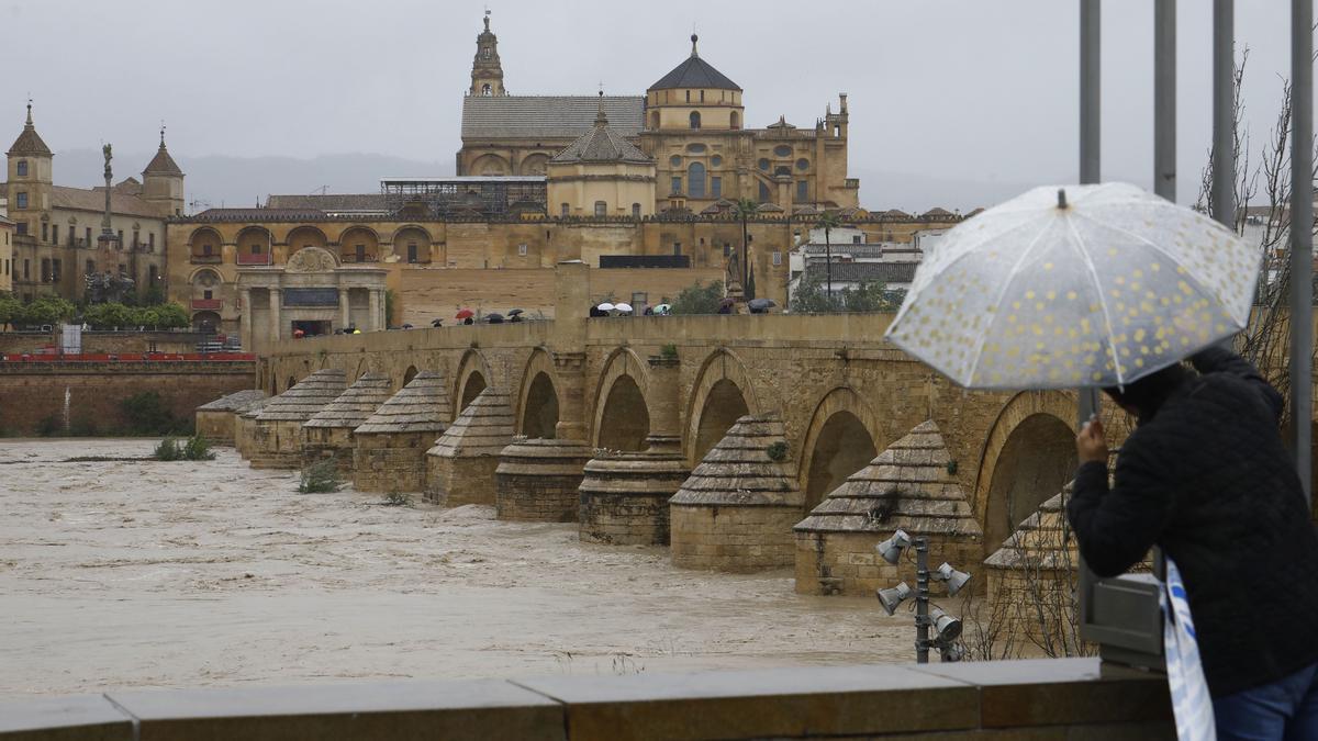 Una persona guarecida bajo un paraguas observa la crecida del río Guadalquivir