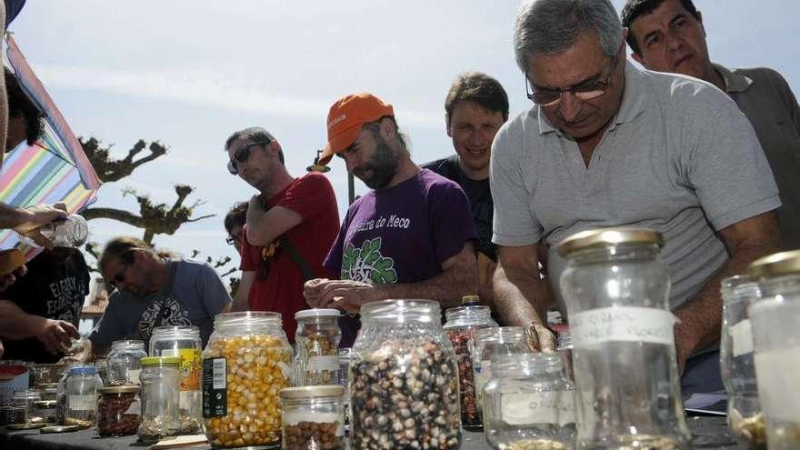 Fueron muchas las personas que se acercaron a la mesa de intercambio de semillas. // Noé Parga