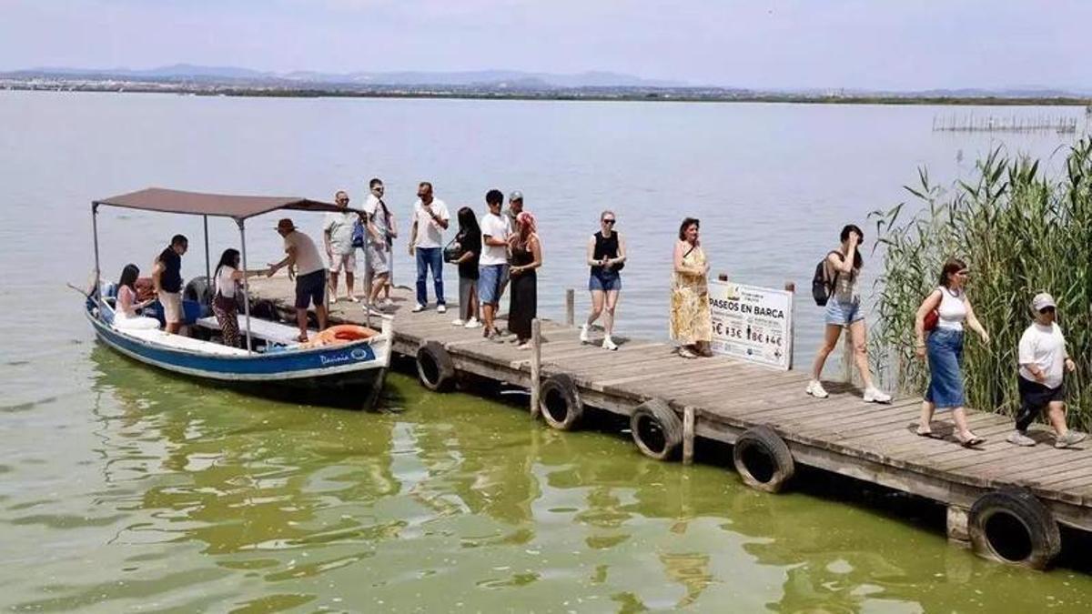 L'Albufera de València.