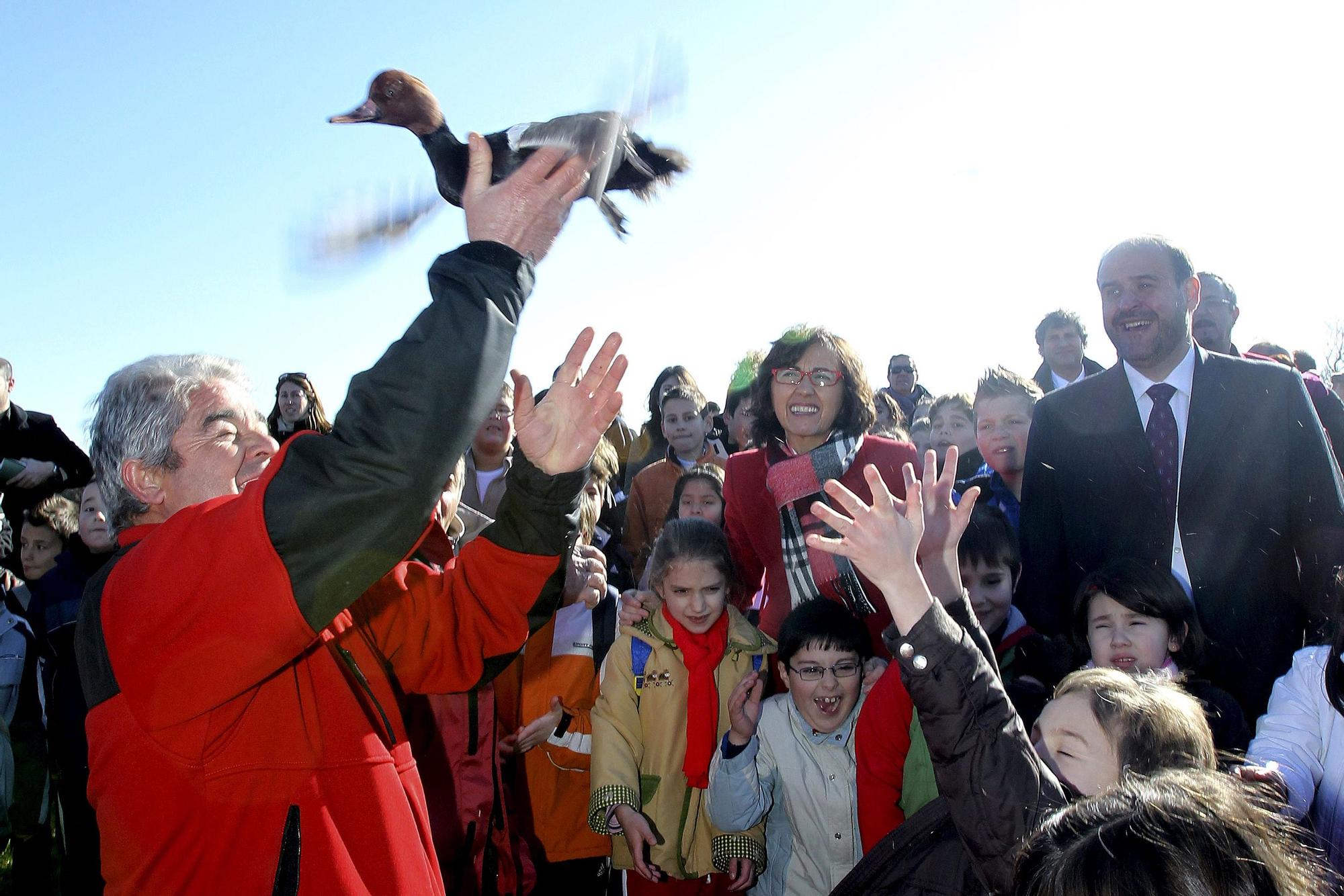 2011 en las Lagunas de Daimiel (2).jpg