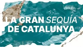 La gran sequía de Catalunya: el año del desastre