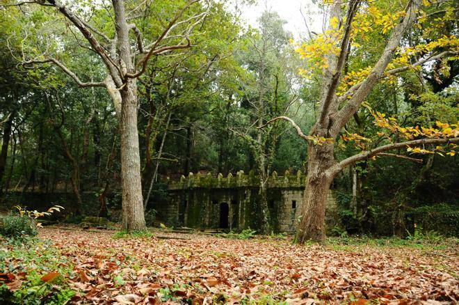 El Bosque Encantado de Aldán, joya natural de O Morrazo