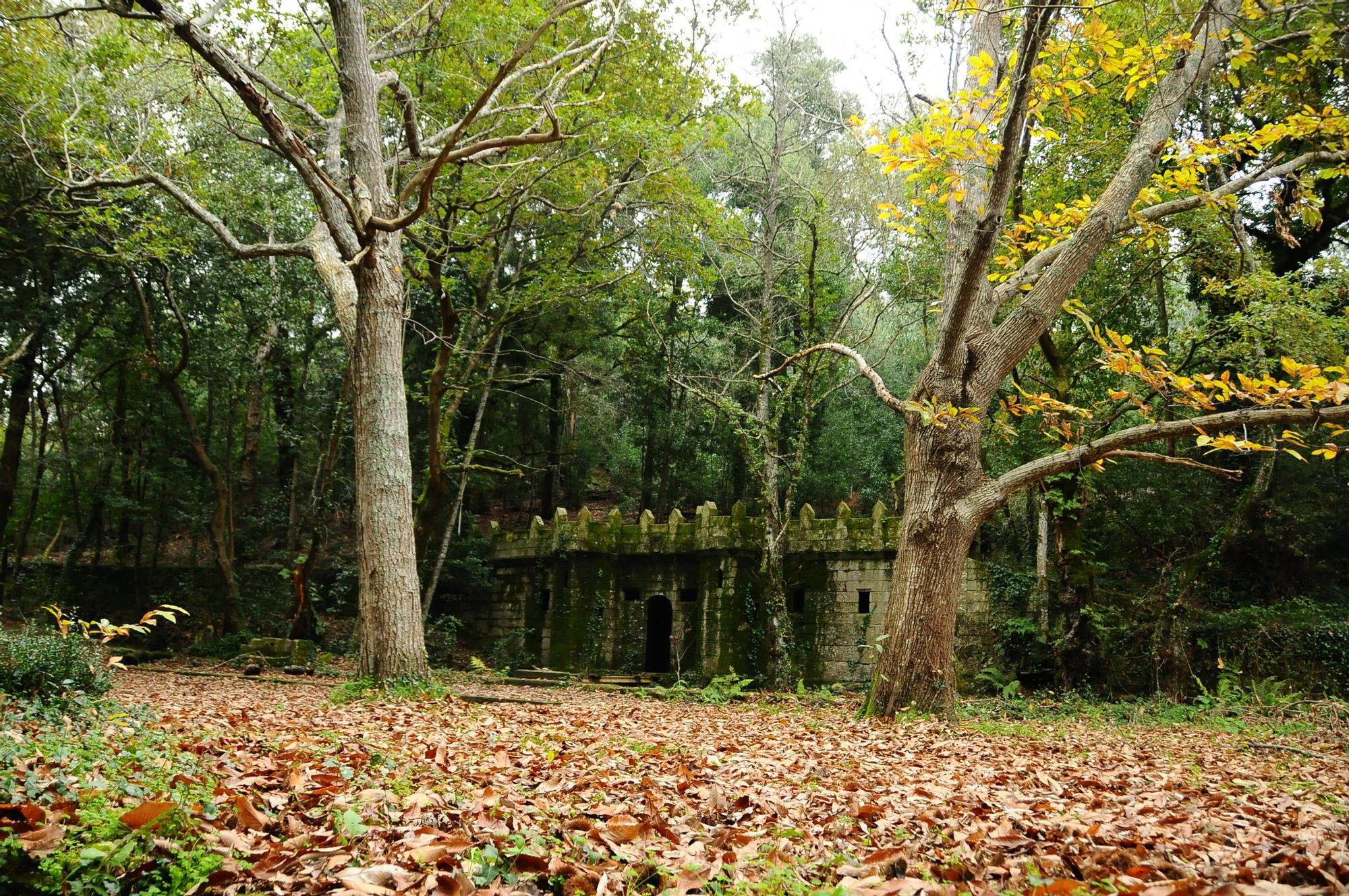 El Bosque Encantado de Aldán, joya natural de O Morrazo Faro de Vigo