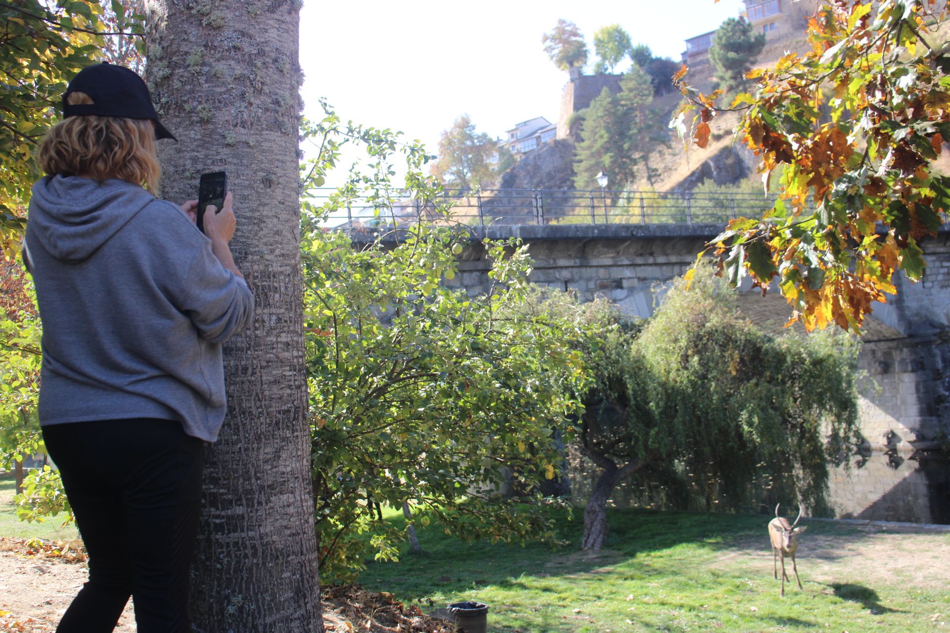 GALERÍA | Rescate de un ciervo enfermo en Puebla