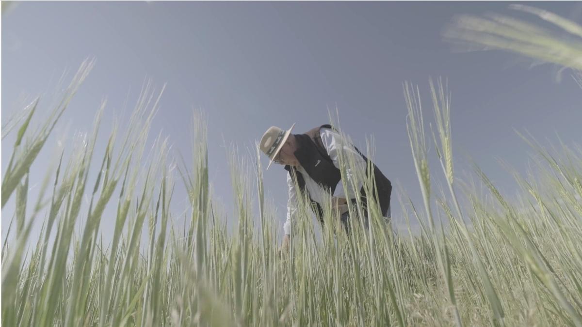 Un agricultor, en su explotación cerealista.