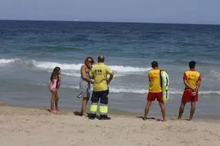 ¿Qué hacer si te encuentras una tintorera?