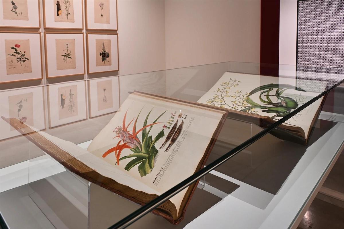 La Galería de las Colecciones Relaes, el Espacio Fundación Telefónica y la Fundación Mapfre te invitan a visitar una de estas exposiciones en la capital