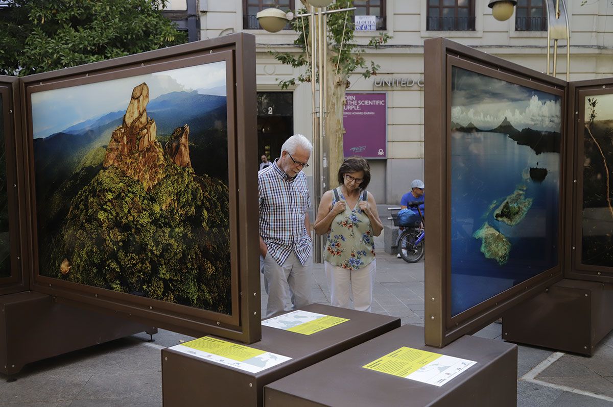 Las fotos de National Geographic en la Bienal de Córdoba