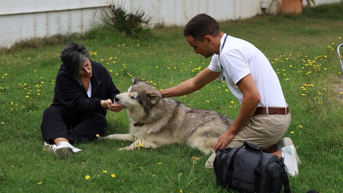 Este servicio nació en 2022 en Málaga.