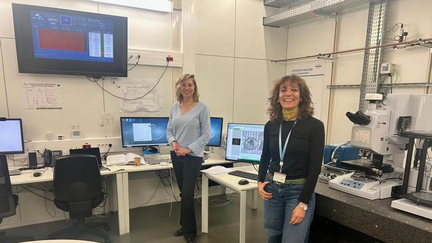 Investigadores de Málaga avanzan en el estudio del glioblast