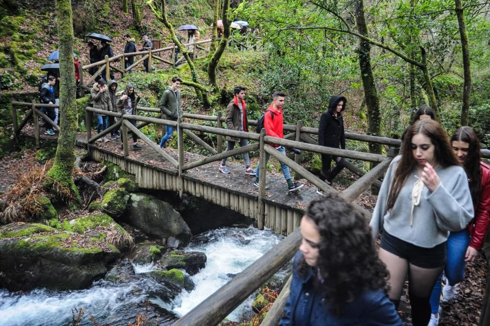 Las "Fervenzas" de Valga y el bosque que las rodea