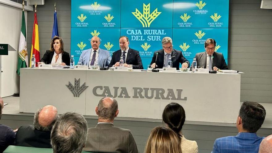 Caja Rural del Sur tiene un volumen de negocio de más de 1.100 millones