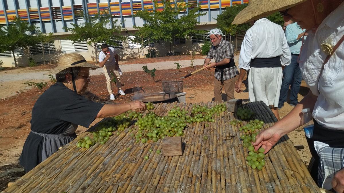 Los miembros de la Associació de Veïns de Jesús Pobre extienden la uva sobre el cañizo