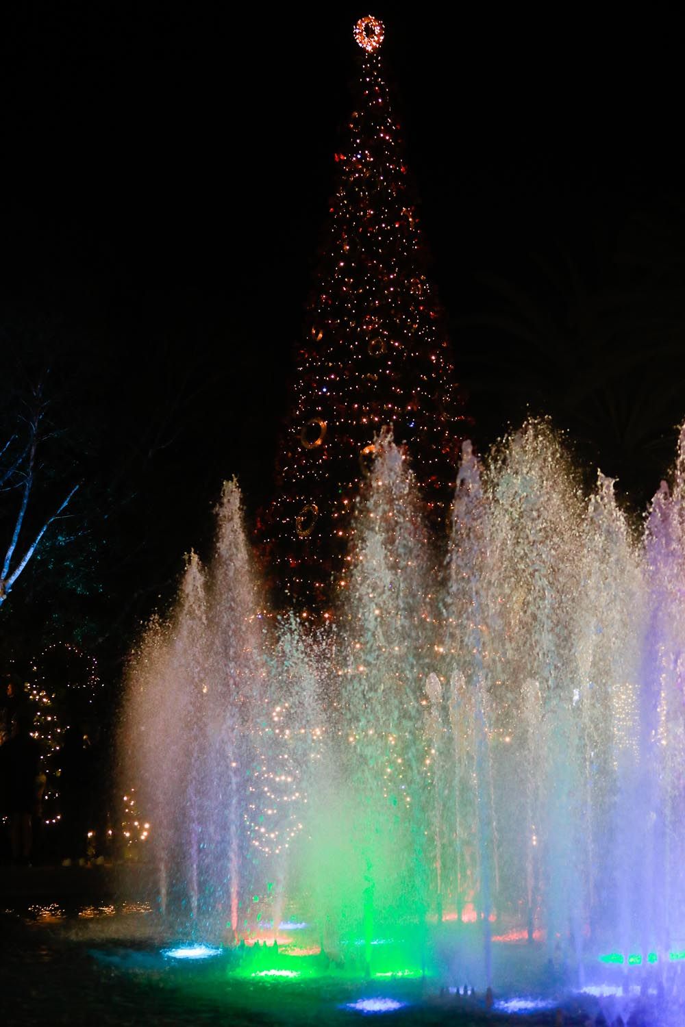 Encendido del alumbrado navideño en Sant Antoni