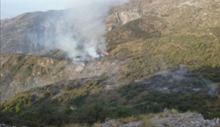 Incendio forestal en la zona de La Concha en Marbella