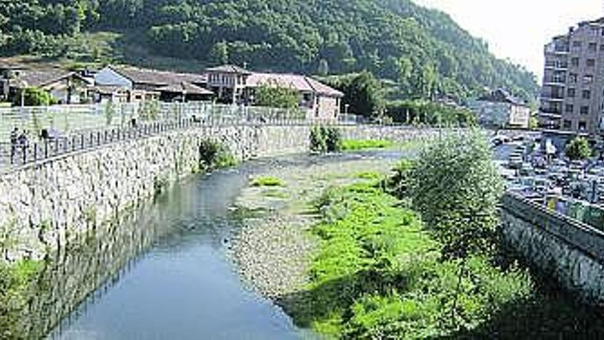 El río Güeña, en la zona de La Pedrera, en Cangas de Onís.