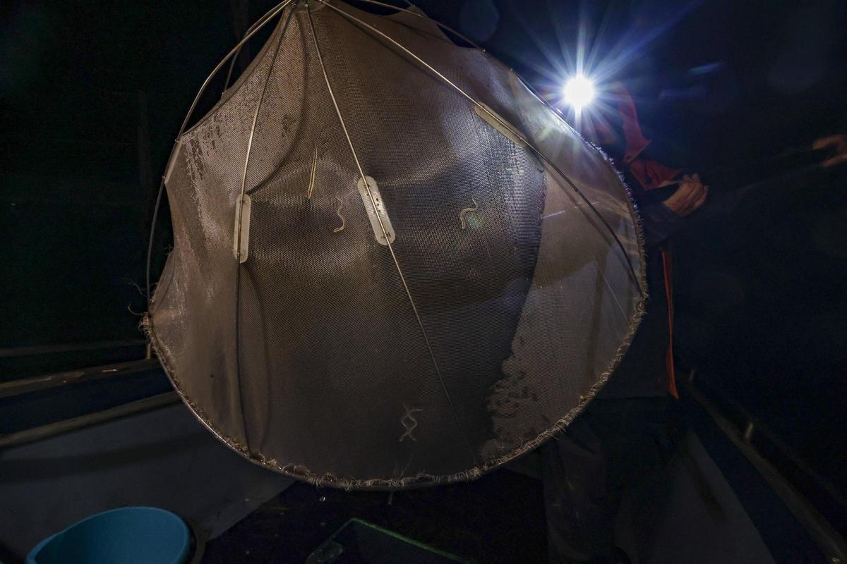 Las solitarias y duras noches de los anguleros de Asturias