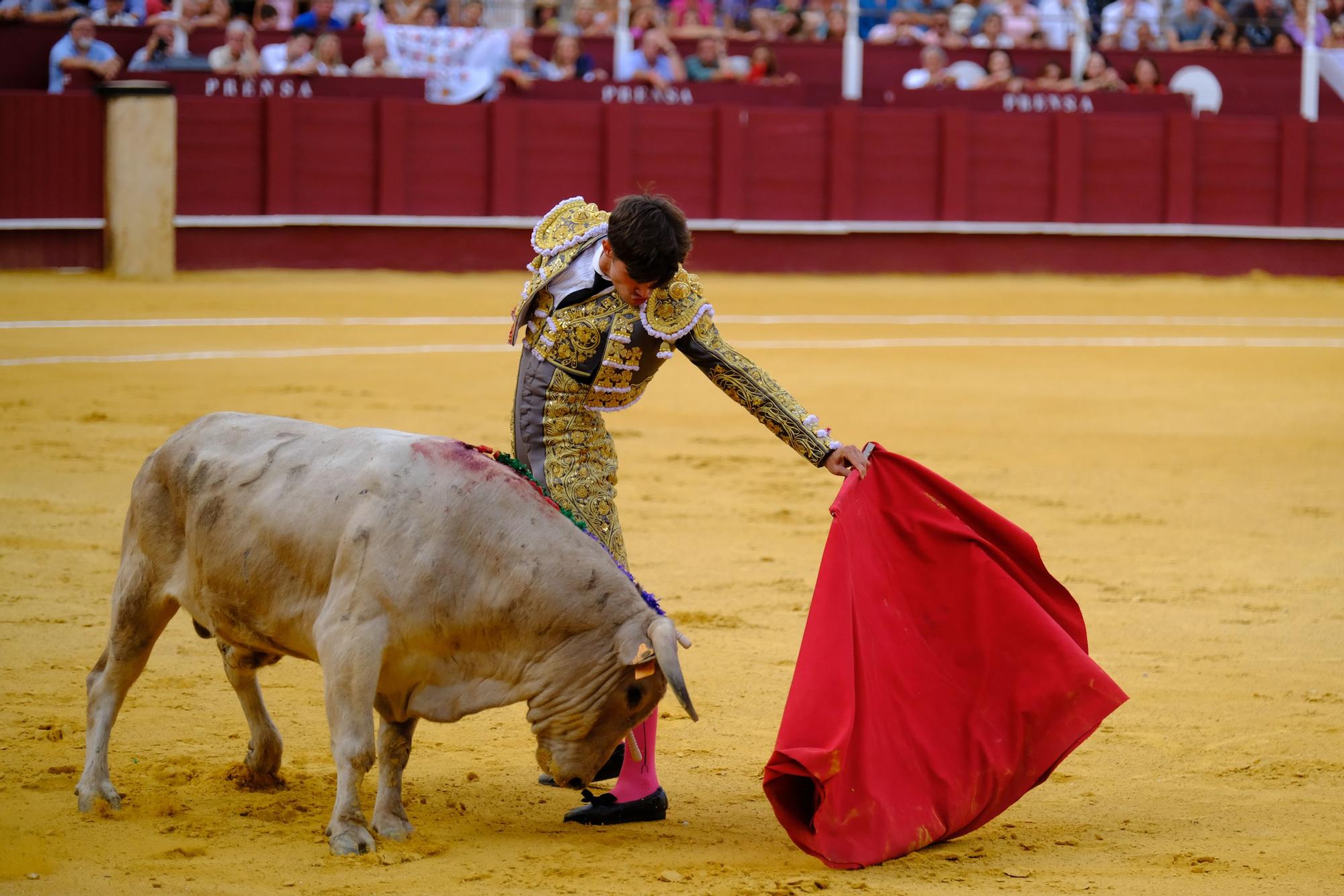 Toros en la Feria I Octava corrida de abono en la Malagueta:  2ª Semifinal de las Escuelas Taurinas