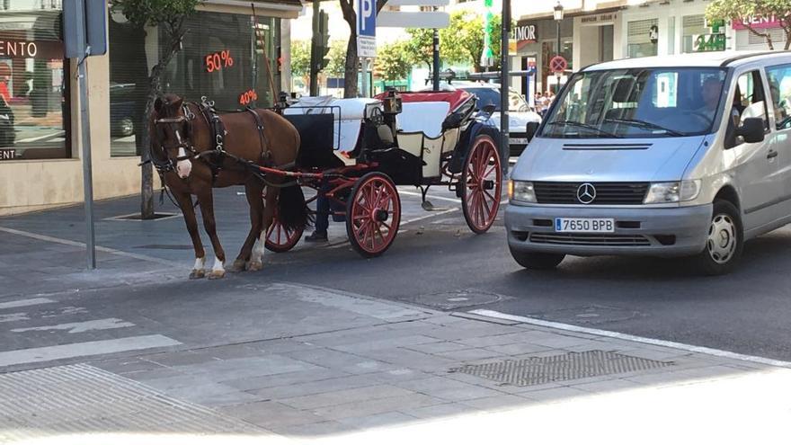 Un vehículo pasa junto a un coche de caballos, ayer, en la parada del centro de Marbella