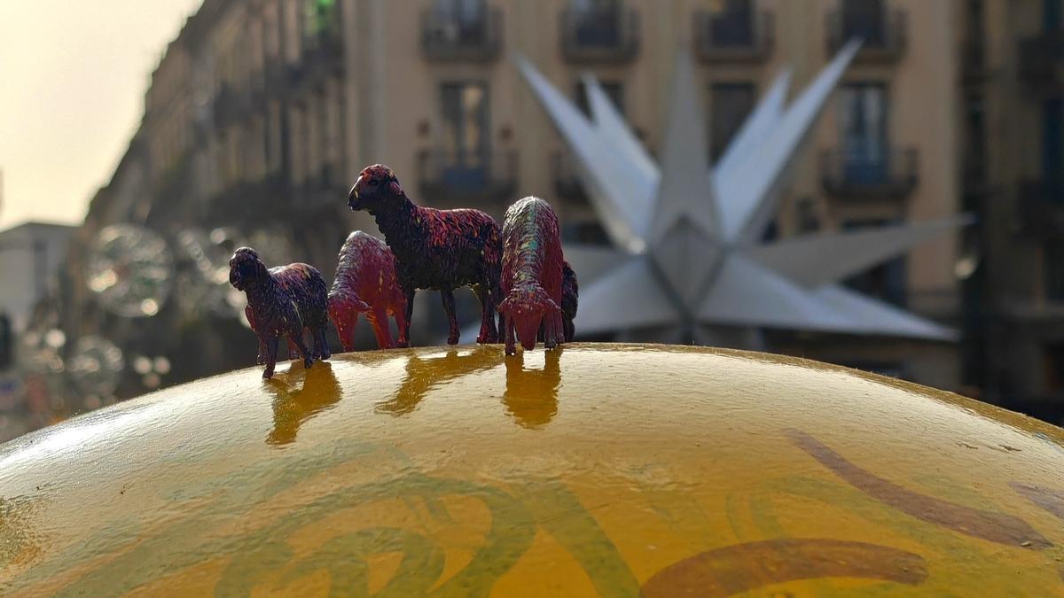 En la plaza de Sant Jaume con la estrella gigante de fondo.