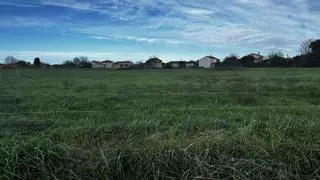 Una oleada de robos en la zona de Villademar (Cudillero) pone en alerta a los vecinos: "Estamos muy preocupados"