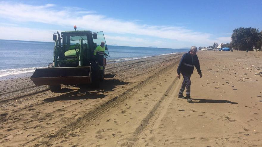 Obras de regeneración de playas en San Pedro Alcántara.