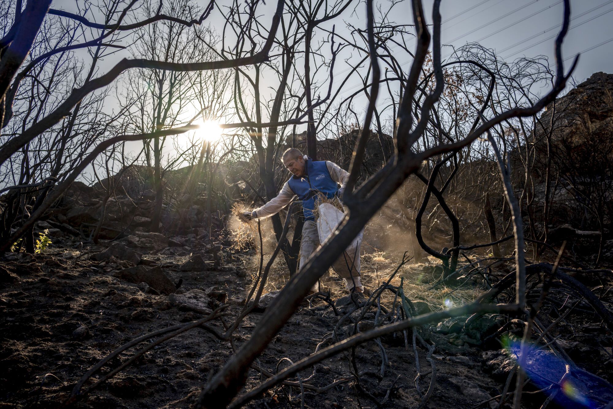 FOTODELDÍA MANZANEDA (OURENSE), 11/10/2025.- Voluntarios comienzan su trabajo en el entorno de Rego da Mourela en Manzaneda (Ourense), para construir estructuras que impidan que las lluvias arrastren el terreno calcinado por los incendios forestales que afectaron a Galicia en agosto. EFE / Brais Lorenzo