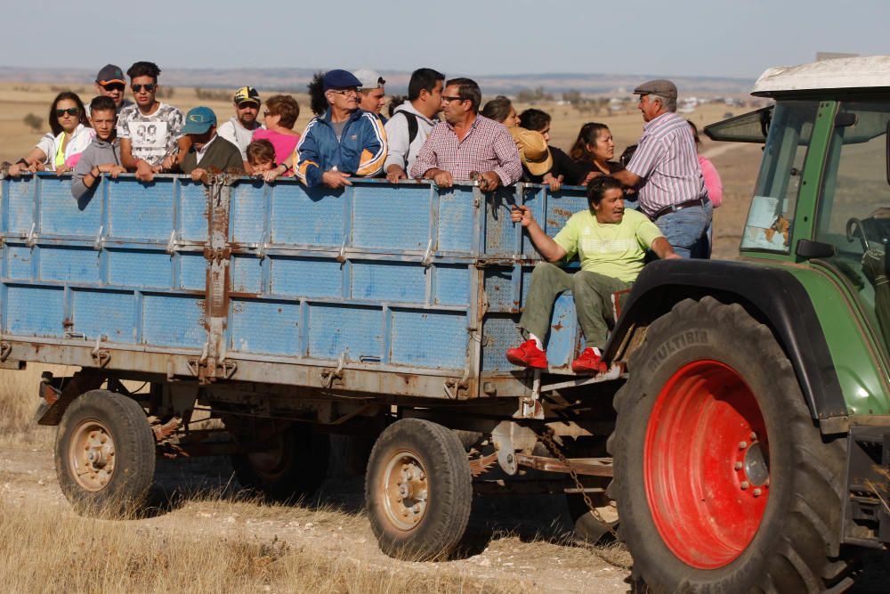 Encierro campero Pereruela