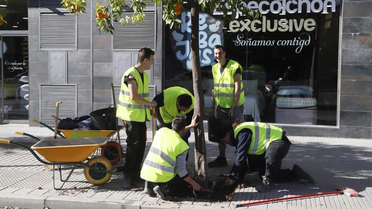 Operarios instalan la resina drenante en un alcorque de la ciudad.