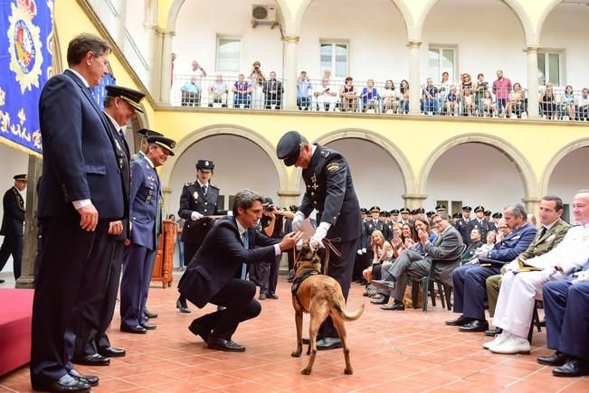 Dia de la Policia