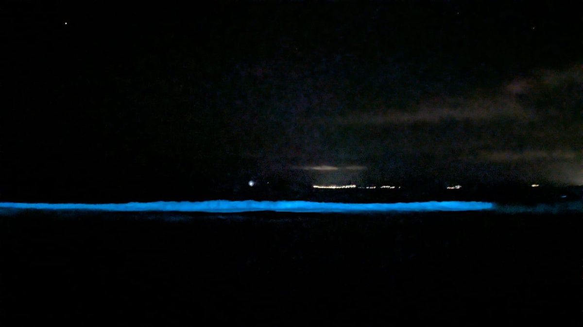 Mar de ardora esta noche en la Playa de Carnota