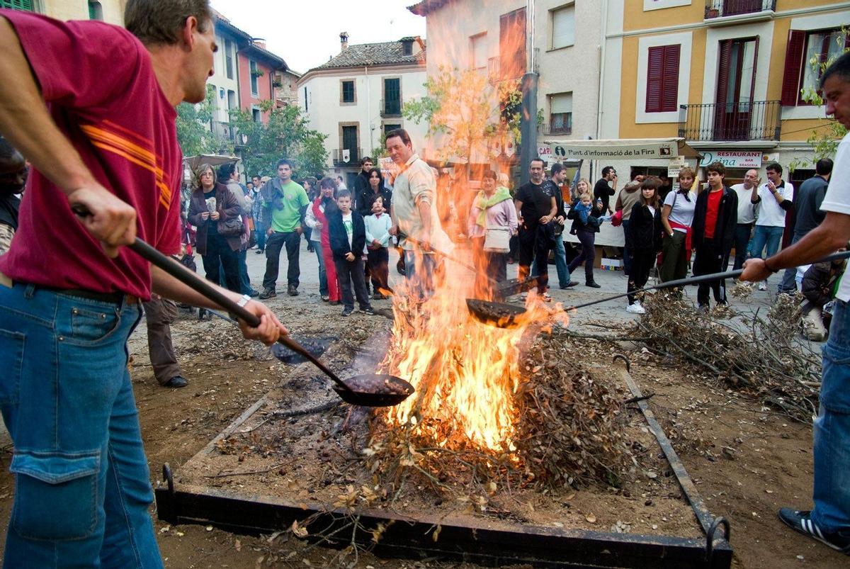 Comarca de Osona