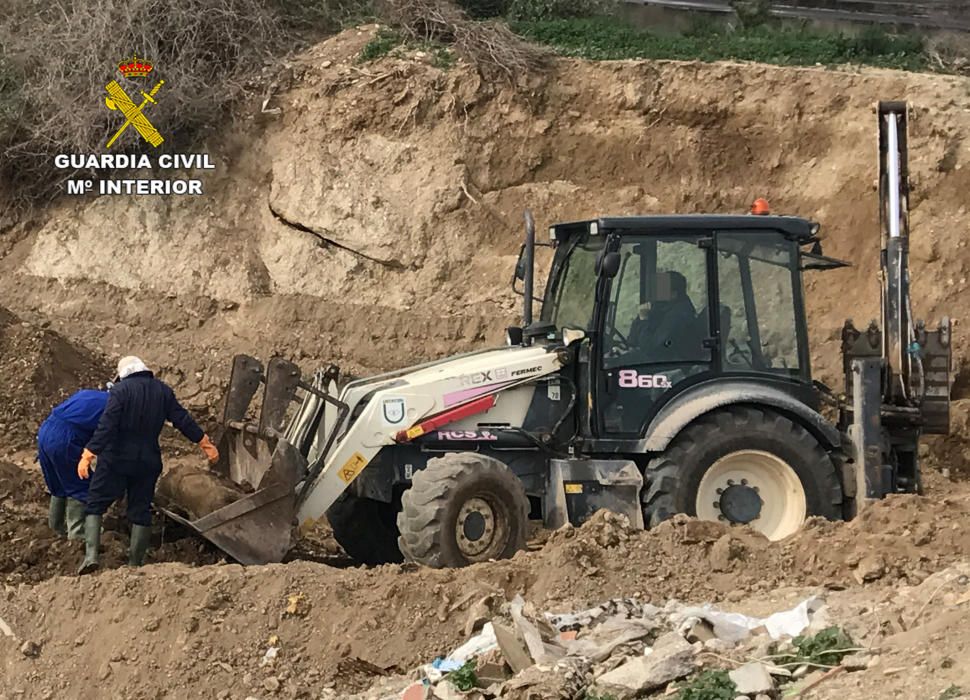 Investigados dos responsables de una granja en Mazarrón por dejar un centenar de cadáveres de cerdos a la intemperie