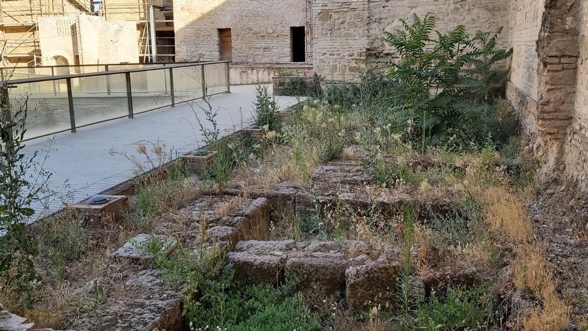 El Patio de las mujeres del Alcázar presenta esta imagen de abandono, denuncia el PSOE.