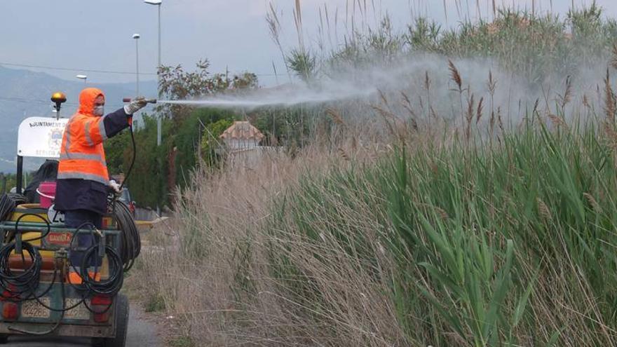 Nules intensifica los tratamientos contra los mosquitos en el litoral