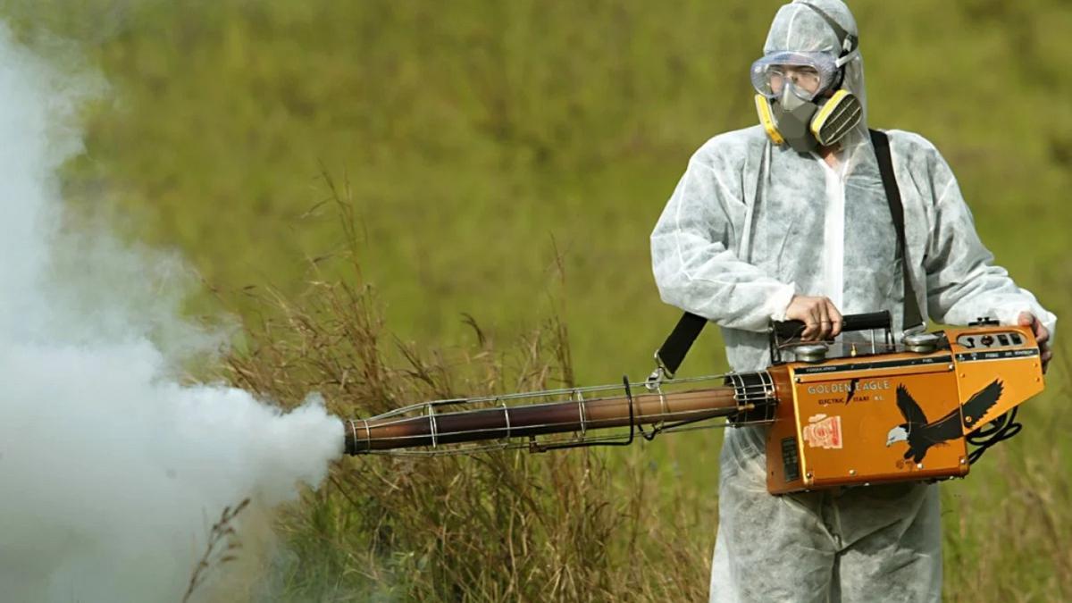 El DDT usado hace décadas aún está presente en elevadas dosis