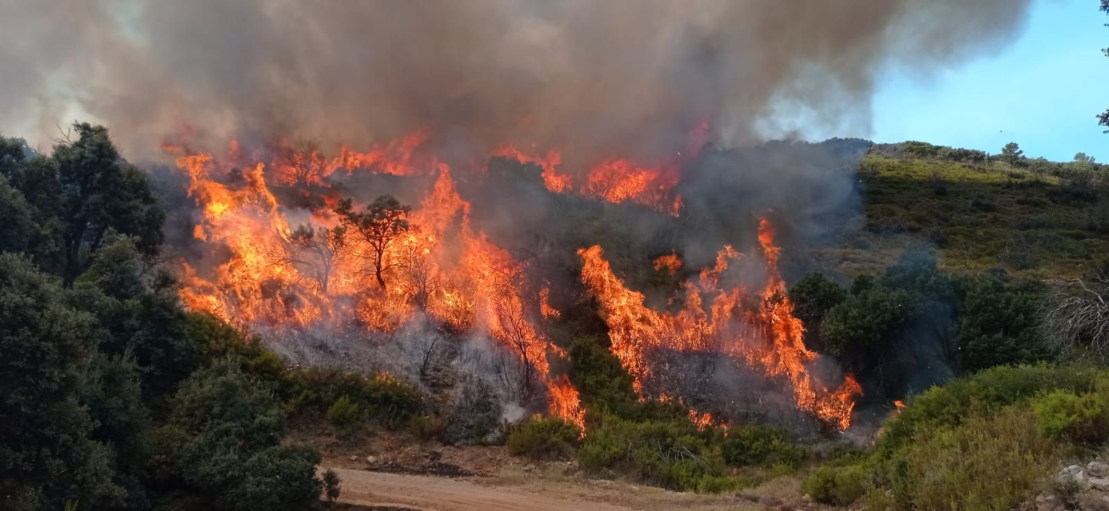 El incendio de Bejís, en imágenes