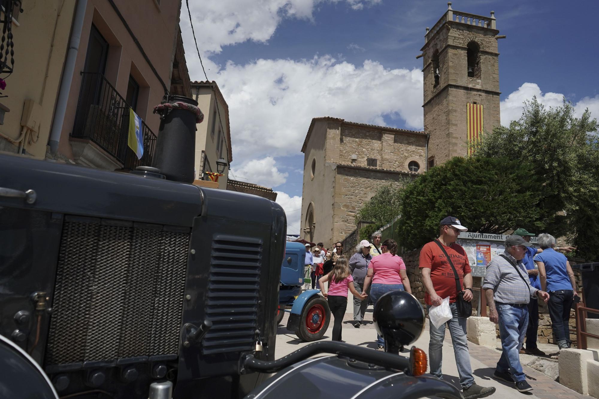 Festa del panellet de Castellgalí, en imatges 