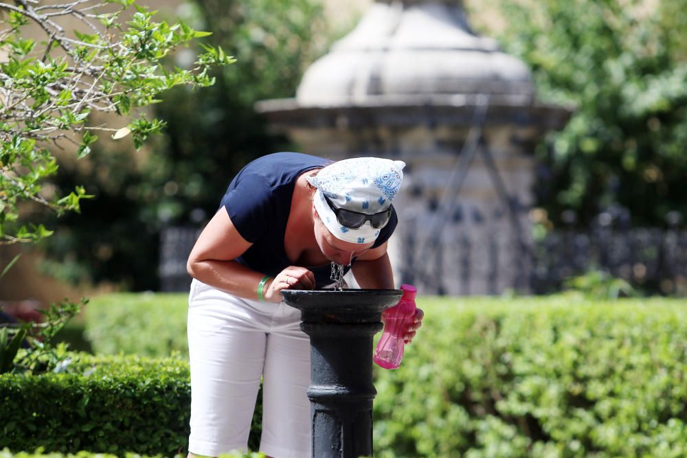 El viento de terral eleva la temperatura en la capital y varios puntos de la provincia