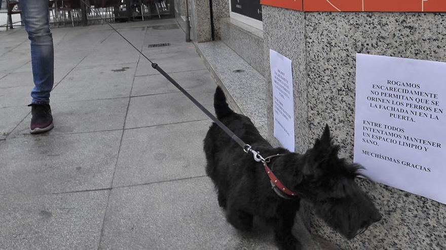 Comercios del puente de la Virgen se hartan de los orines de las mascotas