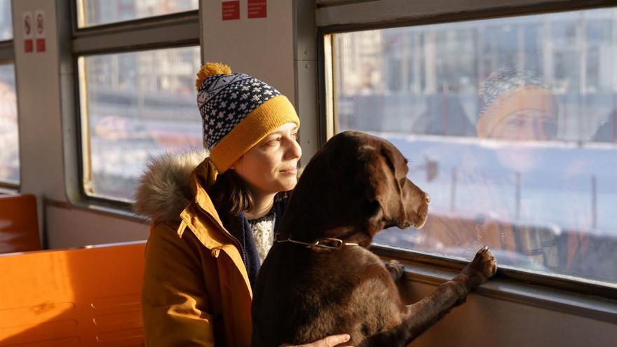 ¿Puedo viajar con mi perro en el tren?