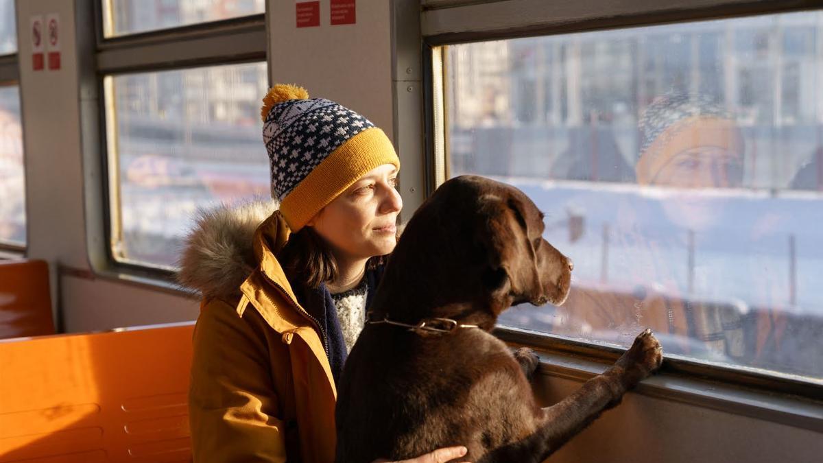 Viajar con perros Renfe | Hasta perros de 40kg permitidos en Renfe