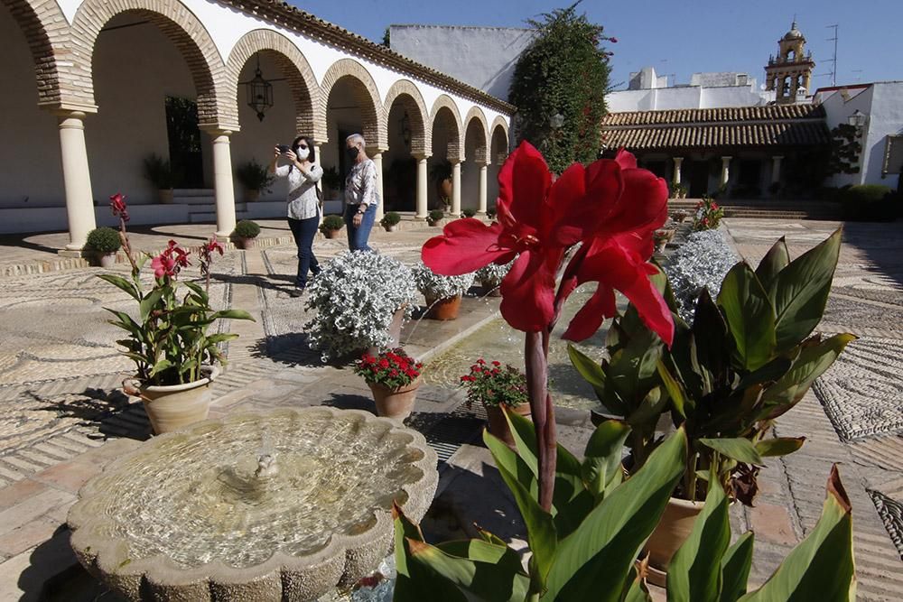 Viana, un palacio de puertas Abiertas